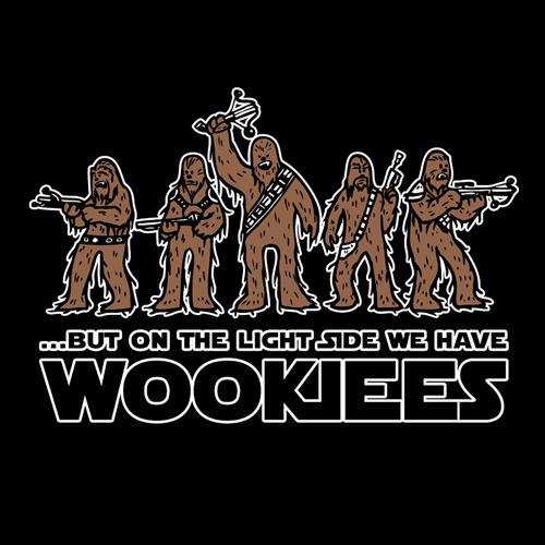 wookiees_detail.jpg